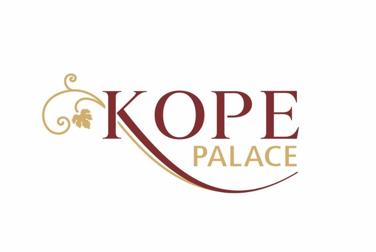 Отель Kope Palace Тбилиси-36